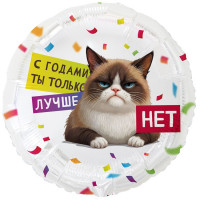 Шар круг, С ГОДАМИ ТЫ ЛУЧШЕ, Кот Сердитый (46см)