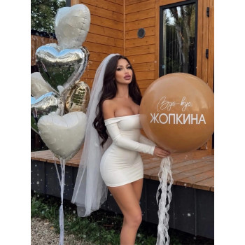 Набор шаров. Прощай Жопкина