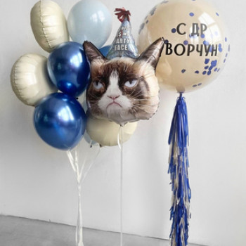 Шар Дабл стафф С ДР Ворчун, Кот, фонтан из шаров