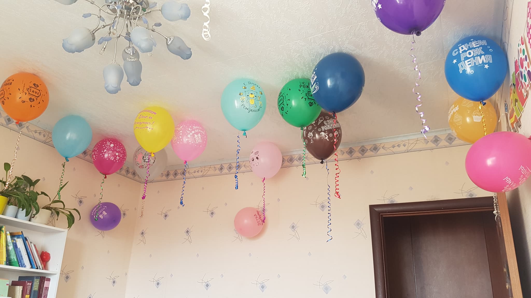 Фотография к отзыву: Яна