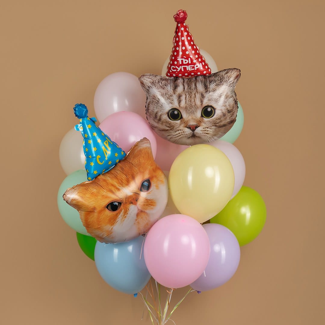 Букет шаров с котиками