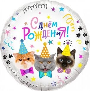Шар Круг, Котики, С Днем Рождения!