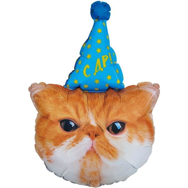 Шар (65 см) Котик в колпачке, С ДР!