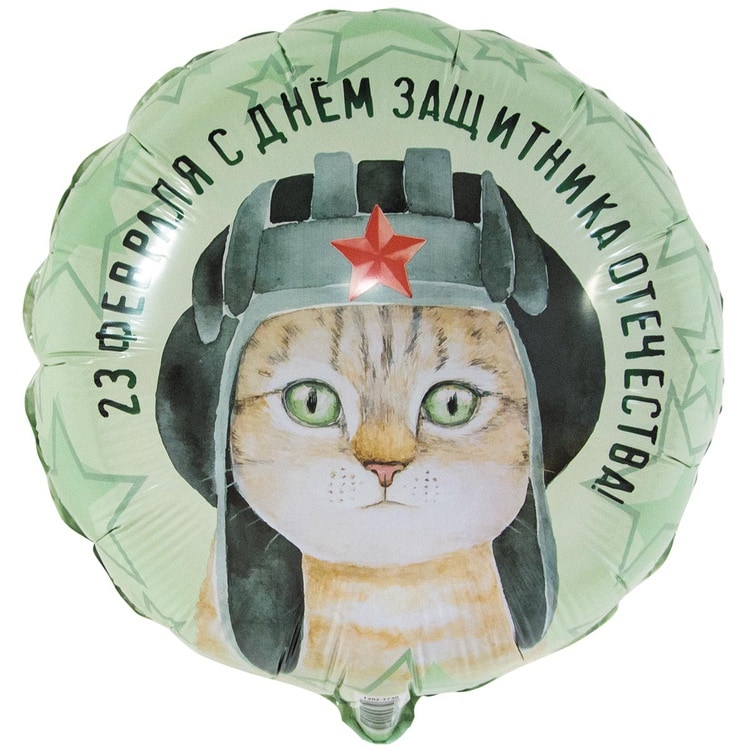 Шар круг. 23 февраля. Кот в шлемофоне (46см)