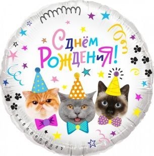Шар Круг, Котики, С Днем Рождения!