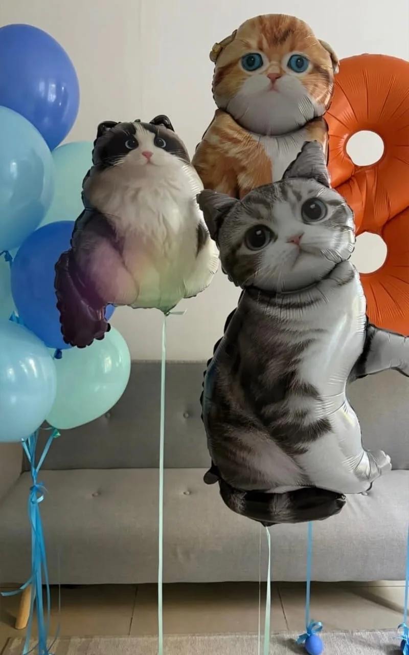 Набор шаров с кошками