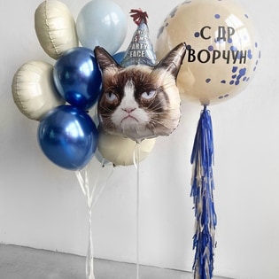 Шар Дабл стафф С ДР Ворчун, Кот, фонтан из шаров